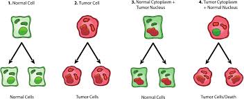 cancer metabolic disease